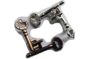 GINFH Brain Teaser Puzzle 3D Unlock Interlocking Puzzle Metal Hole Lock Adult Educational Toy Puzzle IQ Puzzle (Gold Silver Key)