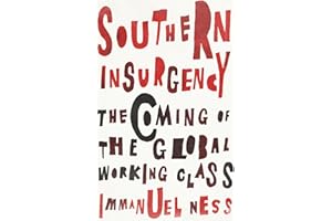 Southern Insurgency: The Coming of the Global Working Class (Wildcat)