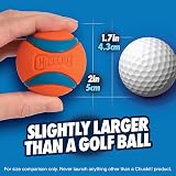 Chuckit Ultra Ball 5 cm Small 2 Pack Durable High Bounce Rubber Dog Ball view 5