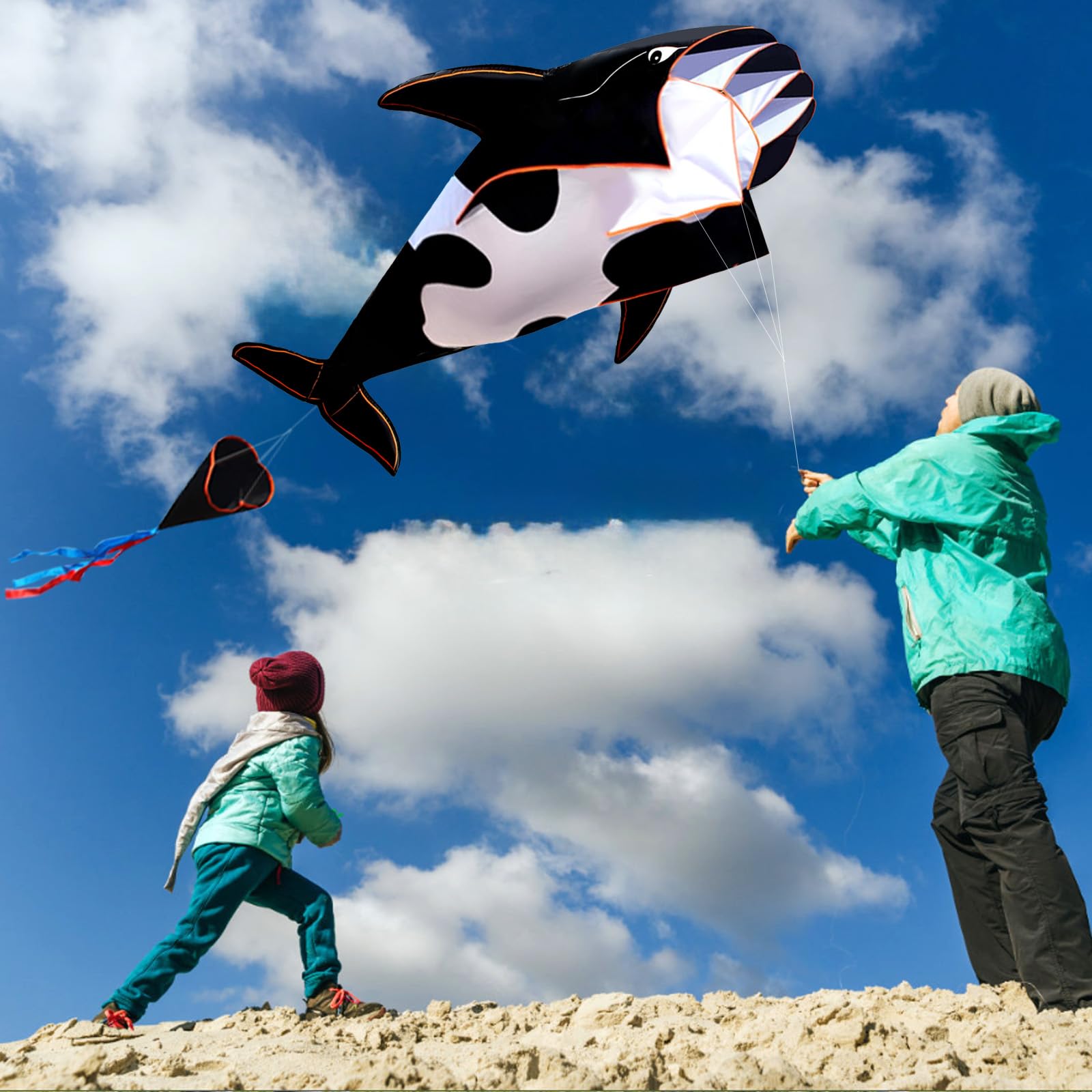 HENGDA KITE 3D Kite for Kids and Adults,Easy to Fly,Excellent Fabric and Structure Design，Huge Frameless Soft Parafoil Giant Whales Dolphins Kite