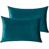 StangH Bed Pillow Pillowcase Thick Soft Velvet Fabric Zippered Pillow Covers for Bed/Couch/Sofa Decorative, Queen Size (Teal, 20 x 30 inches) Set of 2, Warm Cozy Protector