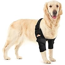 Amazon.com : NeoAlly Dog Elbow Brace Protector Pads for