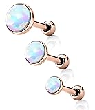 Forbidden Body Jewelry 3-Pack: 16g Surgical Steel