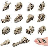 14 Pcs 1.5 Inch Mini Resin Animal Skull Heads Miniature Animal Skull Figurines Mini Halloween Skulls Mini Skull Figurine Miniature Skulls for Crafts Halloween Christmas Micro Landscape Decor