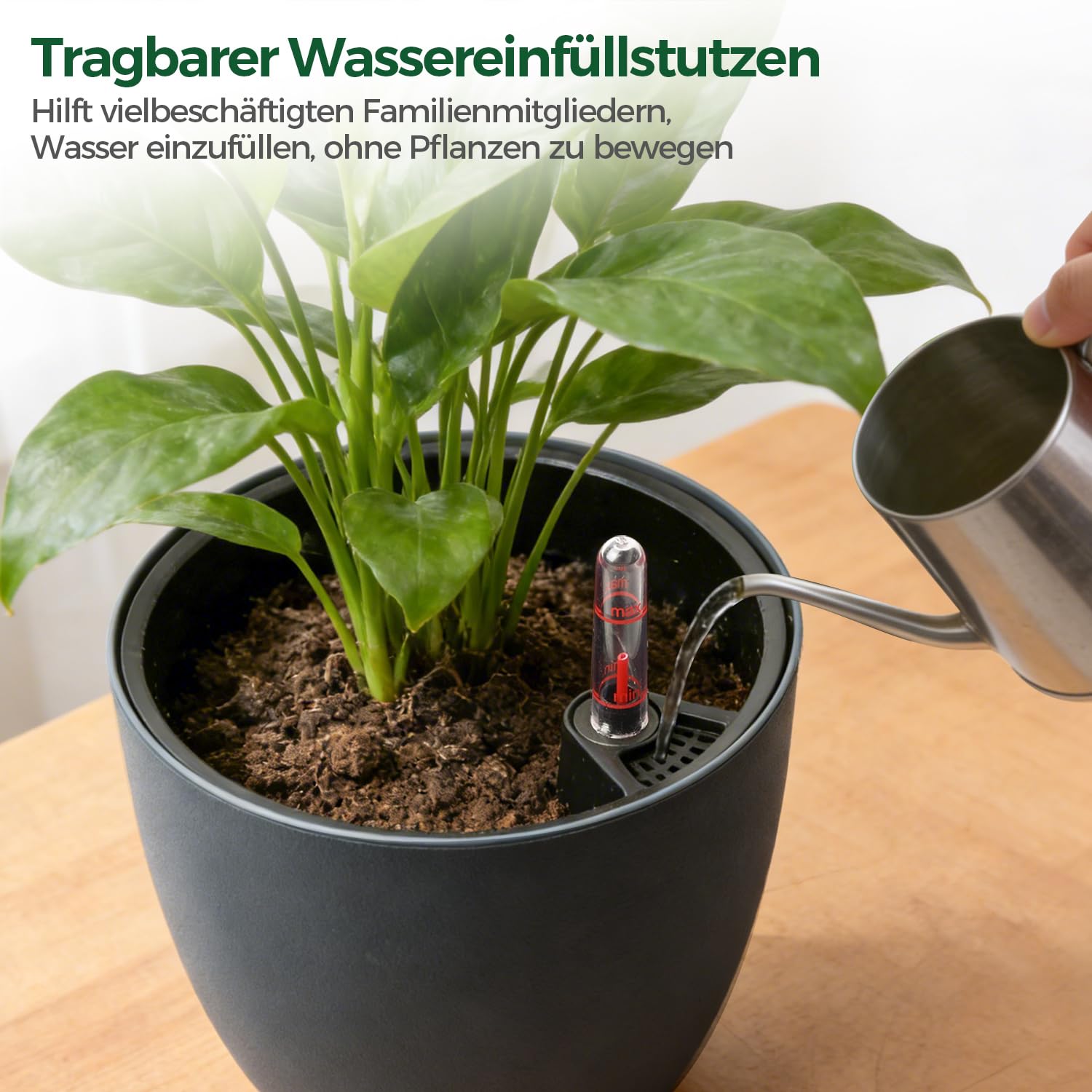 T4U 17,5cm Selbstbewässerungstopf Rund 2er, Kräutertopf für Basilikum Weiß 6