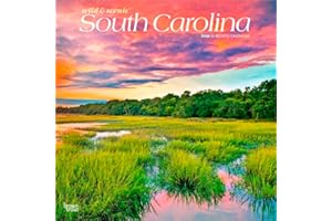 South Carolina Wild & Scenic | 2026 12 x 24 Inch (Hanging) Monthly Square Wall Calendar | Plastic-Free | BrownTrout | USA Uni