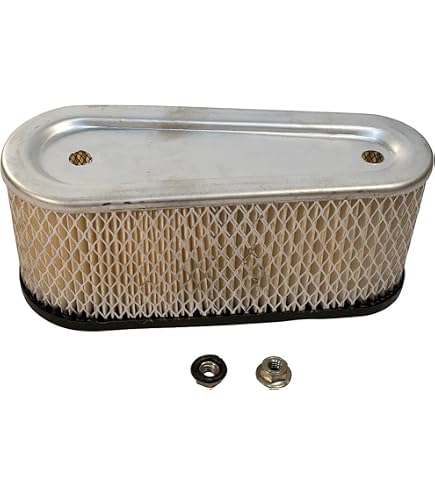 Amazon.com - Tecumseh 10 Pack Genuine 36356 Air Filter OEM