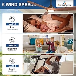 BvenuBigLite Outdoor Ceiling Fan with Light: 52