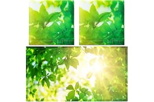 Hortsun Pack of 2 Fluorescent Light Covers 4 x 2 Feet Magnetic Ceiling Light Cover Room Supplies for Home Office(Green Leaf)