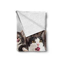 Ambesonne Kittens Throw Blanket, Licking Cats with