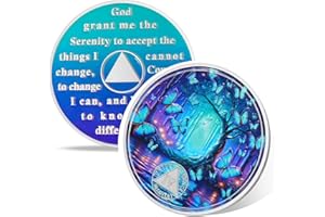 VITALWAY Butterfly Forest 4 Year Sobriety Coin, Affirmation AA Coins, Addiction Recovery One Year Sober Coin, Celebrating Recovery Anniversary Token, AA Sobriety Gifts for Men Women