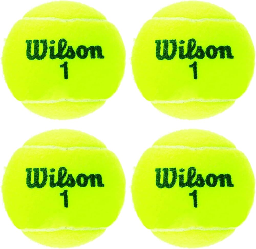 Wilson Championship Extra Duty 4Tball Tennis Balls Yellow One Size