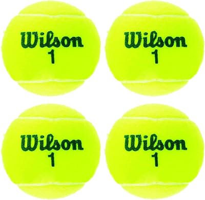 Wilson Championship Extra Duty 4Tball Tennis Balls Yellow One Size
