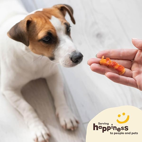 PET ‘N SHAPE SWEET POTATO CHEWS – NATURAL CHICKEN WRAPPED SWEET POTATO DOG TREATS – 42 OUNCE