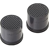 LifeStraw Carbon Capsule Replacement Filter for Go Bottle 2-Stage & Steel (2-Pack)
