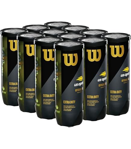 Amazon.com : WILSON US Open Tennis Balls - Regular Duty, 24 Can