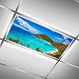 MSINMKOK Blue Sea Seashore Fluorescent Light Covers