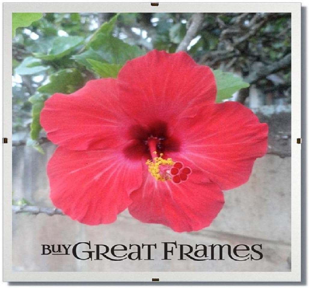 Set of 12 - GREATCLIP - 5x5 Square Glass and Clip Frames