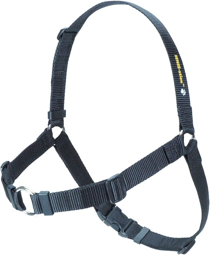 Erziehungsgeschirr für temperamentvolle Hunde Das SENSEation Harness