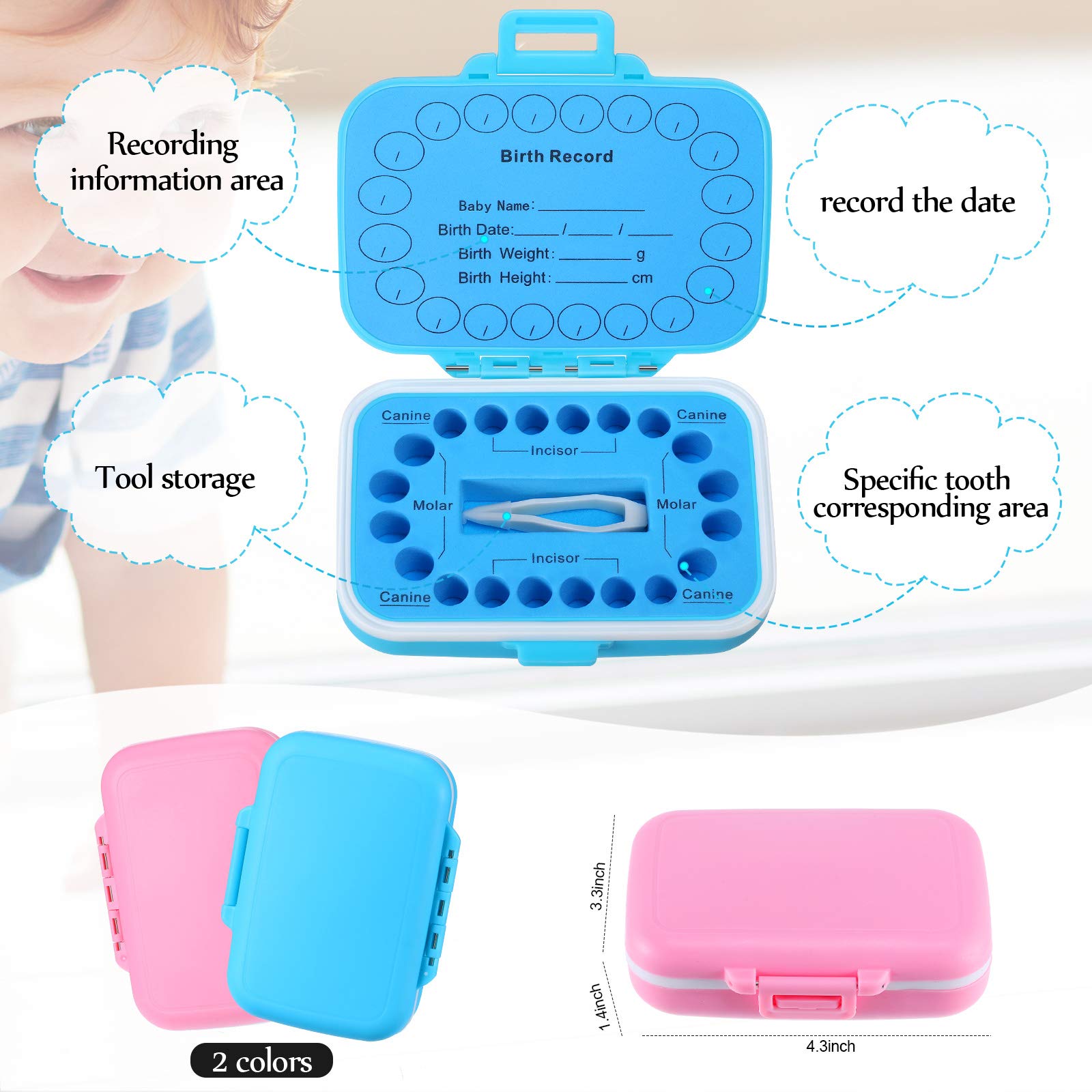 Patelai 2 Pack Baby Keepsake Tooth Box PP Baby Teeth Storage Holder Fairy Tooth Boxes Saver First Teeth Collection Container for Boys and Girls (Blue and Pink)