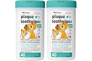 Petkin Cat and Dog Dental Wipes, 80 Wipes (Fresh Mint) - Natural Formula Cleans Teeth, Gums & Freshens Breath - for Daily Use - Convenient Dog Dental Care - 2 Packs of 40 Wipes (80 Wipes Total)