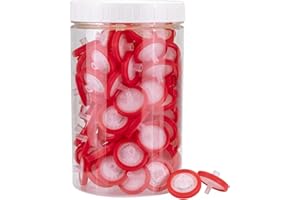 Syringe Filters PTFE Hydrophilic Filtration 0.45um Micron Pore Size 25mm Membrane Diameter Lab PTFE Membrane Disc Non-Sterile by Labfil, Pack of 100