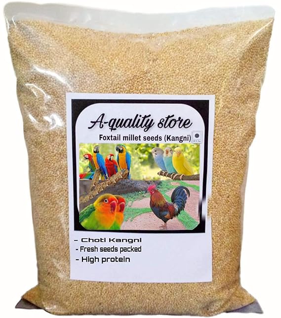 Buy Quality Store Kangni Seed Bird Food (Brown) Foxtail Millet Seeds