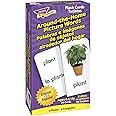 Around the Home (English / Spanish set) Skill Drill Flash Cards