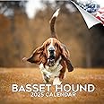2024 2025 Basset Hound Calendar - Dog Breed Monthly Wall Calendar - 12 x 24 Open - Thick No-Bleed Paper - Giftable - Academic Teacher's Planner Calendar Organizing & Planning - Made in USA