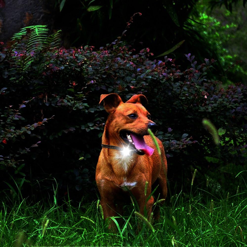 jia lan jiu yu dog training collar