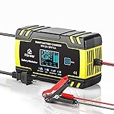 FOXWER 12V8A 24V4A Battery Charger and