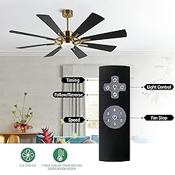 WINGBO 60" DC Ceiling Fan with Lights and Remote