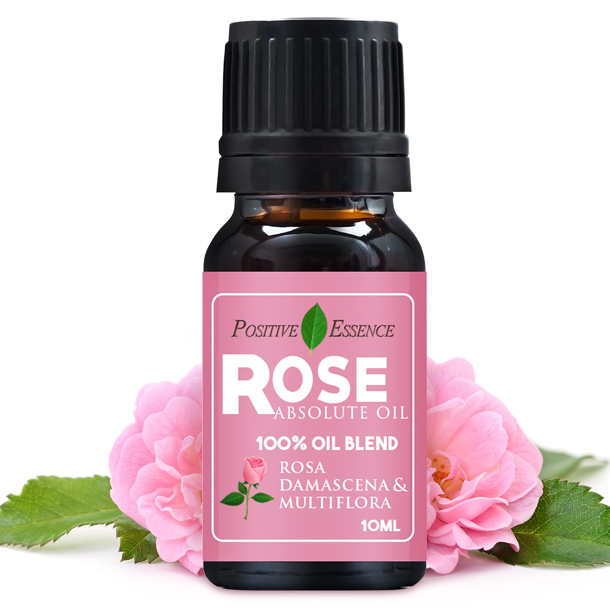Premium Rose Absolute Oil for Diffuser - Rose Essence Oil for Relaxation, Rosa Absolute, 10ml (0.33 fl oz)