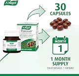 A.Vogel Prostasan Saw Palmetto Capsules for Men 30 Capules 1 a Day view 5