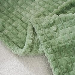 Puncuntex Flannel Fleece Throw Blanket Sage Green