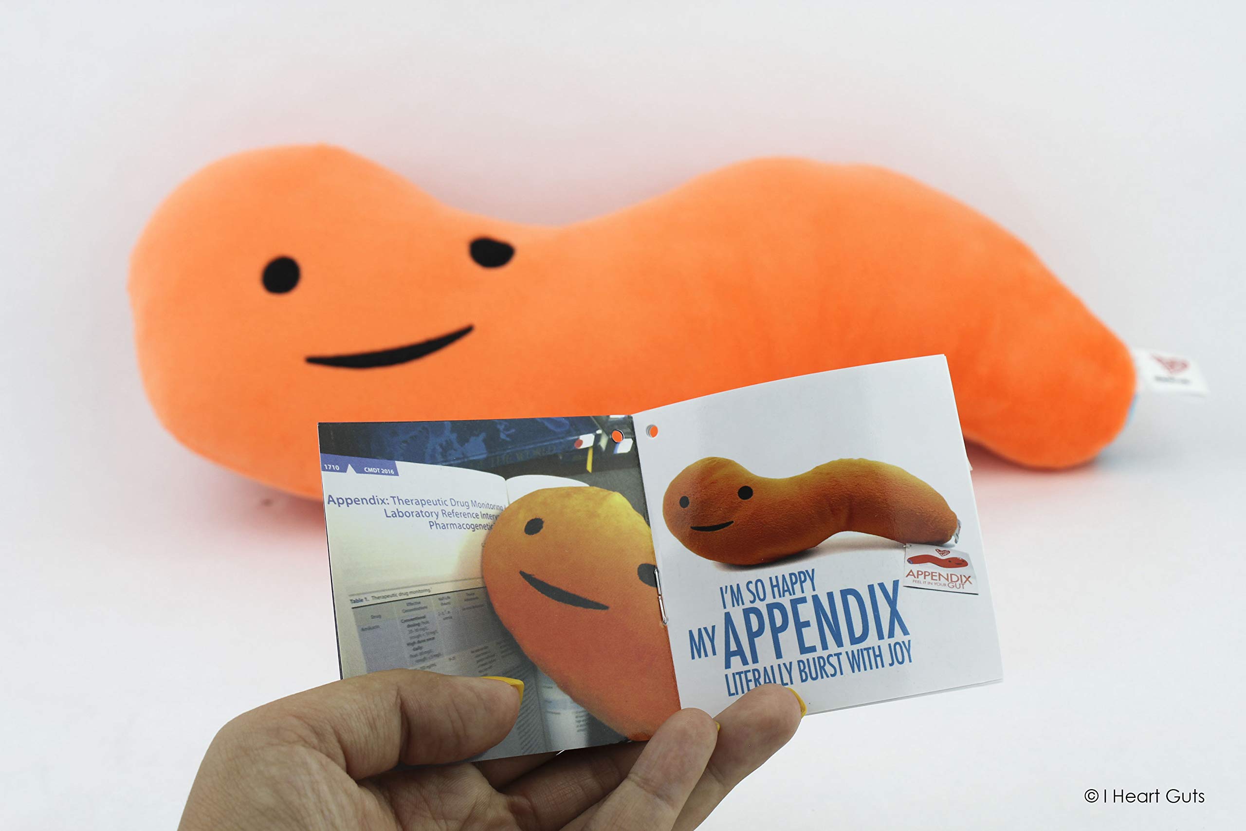 appendix stuffed animal