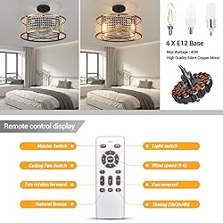 Zhizenl Ceiling Fan with Lights, 6 Speeds
