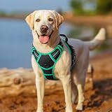 rabbitgoo Dog Harness Small No Pull Reflective Adjustable Vest Black Mintgreen view 8