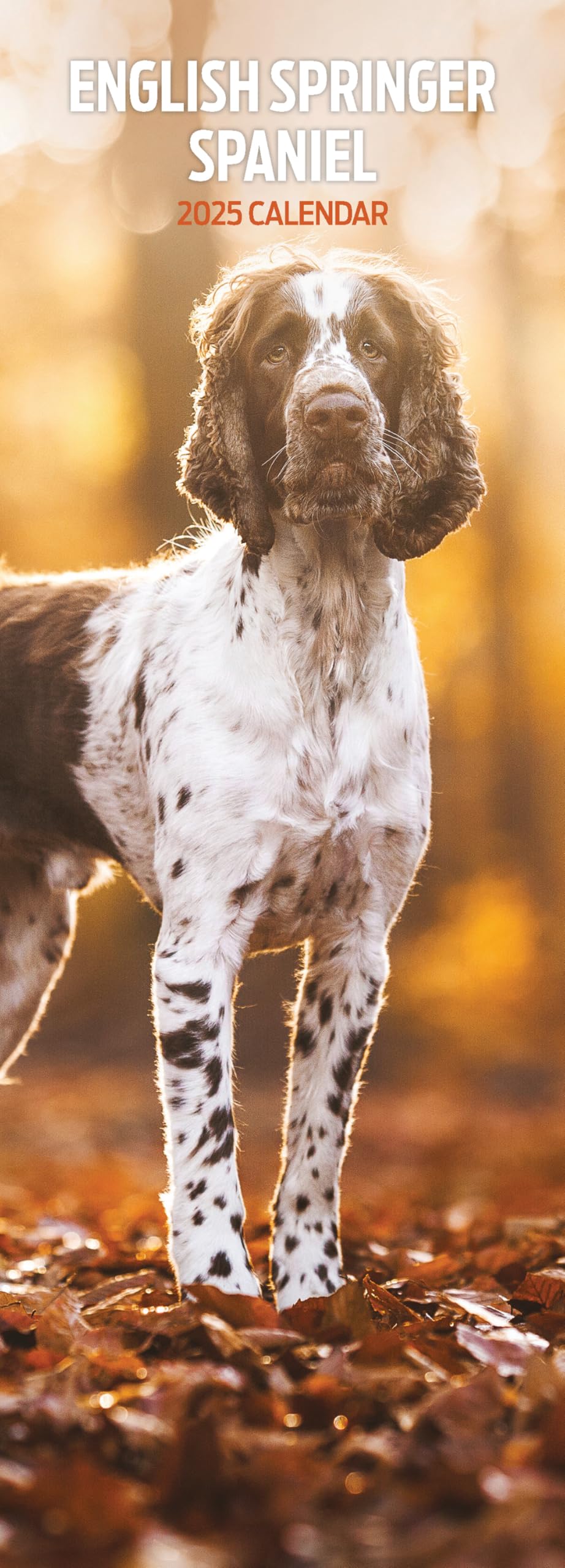 English Springer Spaniel 2025 Slim Calendar