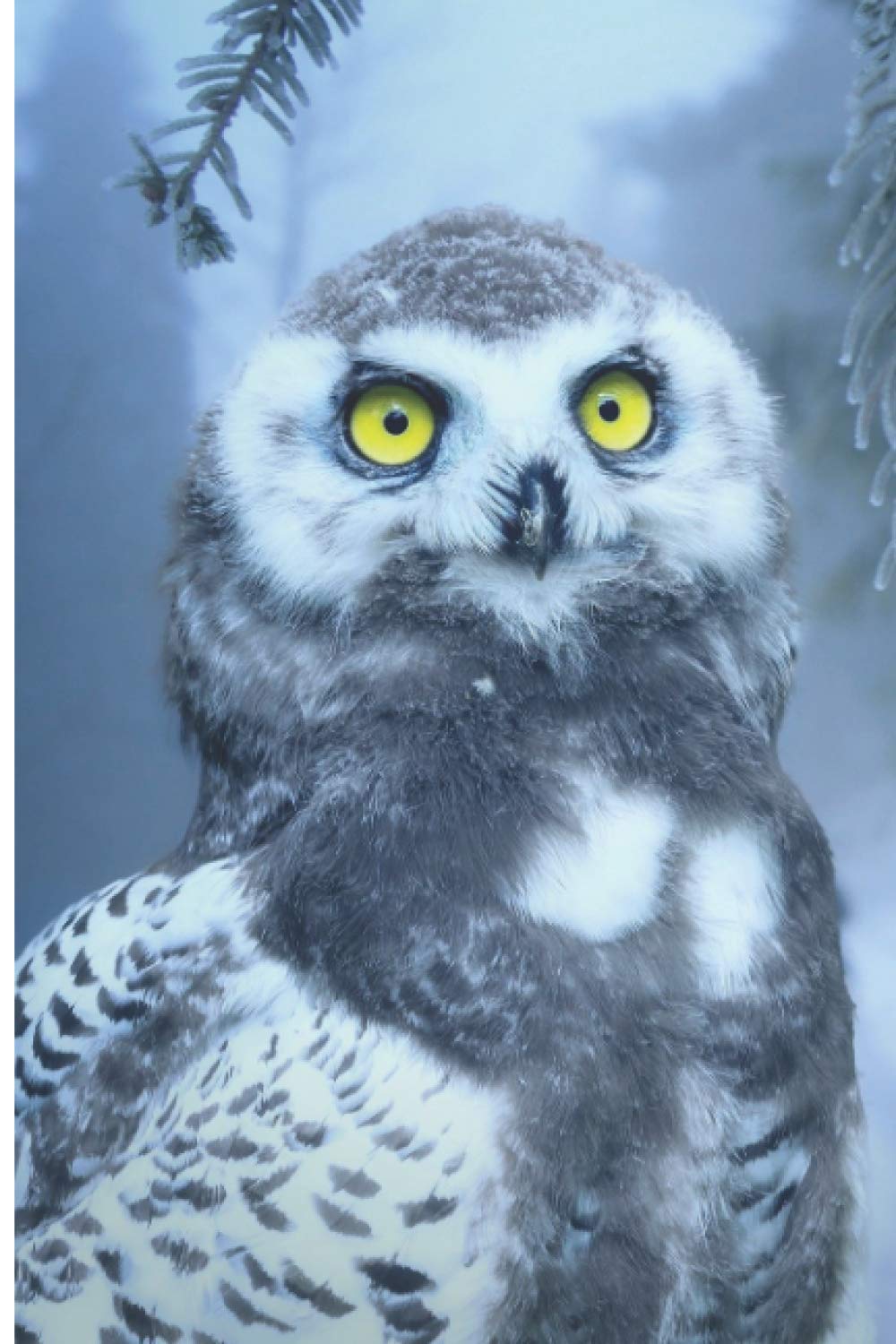 White Owl | Discreet Internet Password Book: Secret Internet Password Book to Keep Your Data Secure