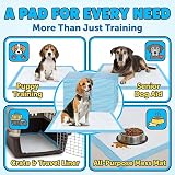 Bazaar 60x60cm Large Puppy Pads 600 Count | Highly Absorbent Leak-Proof view 6