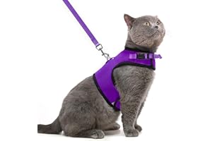 PUPTECK Soft Mesh Cat Vest Harness and Leash Set Puppy Padded Pet Harnesses Escape Proof for Cats Small Dogs Rabbits Bunny