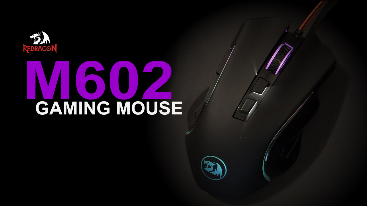 Thumbnail 28