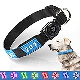 LED AirTag Dog Collar - Brightest Light Up Dog