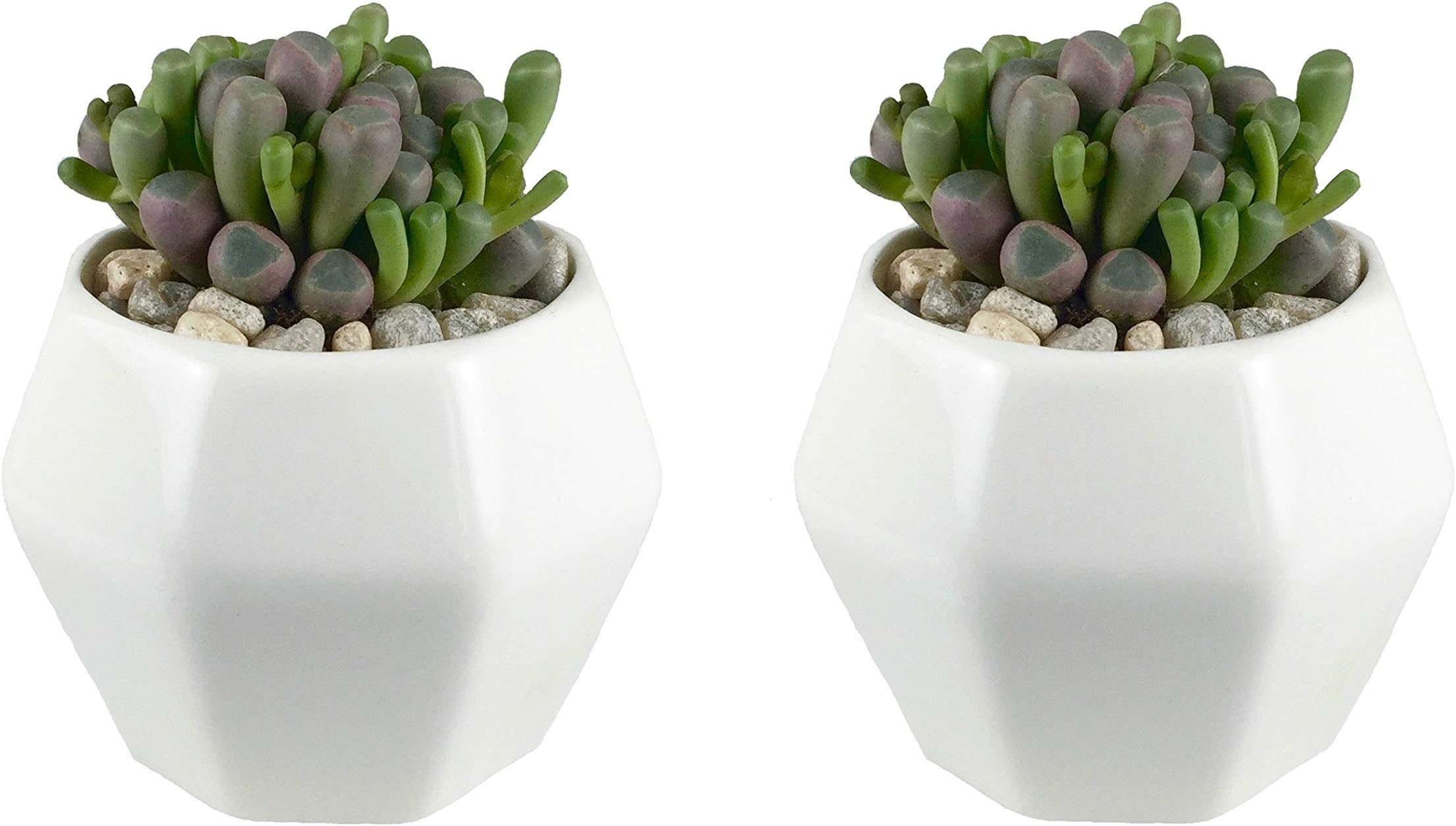 2-Pack Hexagon Modern Minimalist White Ceramic Succulent Pot. Perfect planter/flower pot for succulent, cacti, flowers, live or artificial plants for home or office (PLA0047-11)