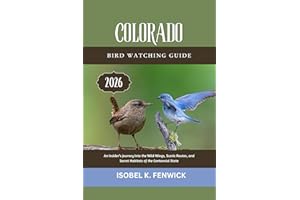 Colorado Bird Watching Guide 2026: An Insider’s Journey Into the Wild Wings, Scenic Routes, and Secret Habitats of the Centen