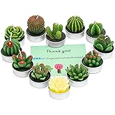 Handmade Delicate Succulent Cactus Candles for Birthday Party Wedding Spa Home Decoration(12 Packs-2)