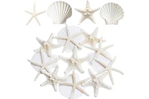 JQAQJU 3-4 Inches Large Starfish and Scallop Shells for Crafts 12PCS, Natural Beach Sea Shells for Crafting, Baking Shells Perfect for White Christmas Decor Beach Party Wedding Fishtank DIY Crafts