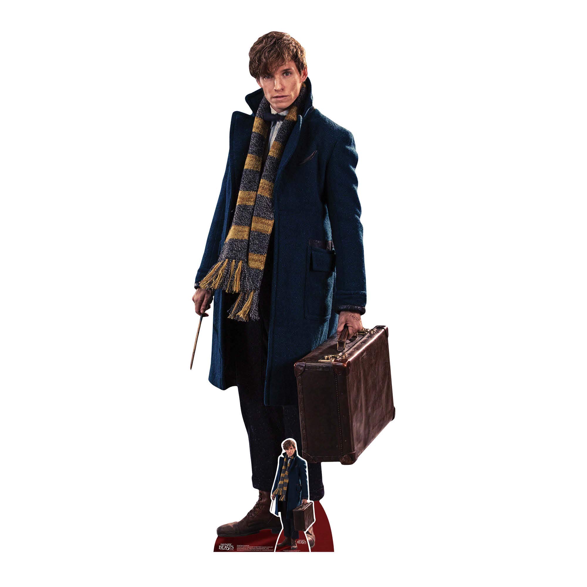 STAR CUTOUTS Eddie Redmayne Newt Scamander Fantastic Beasts Life Size Cardboard, Multi-Colour, SC946