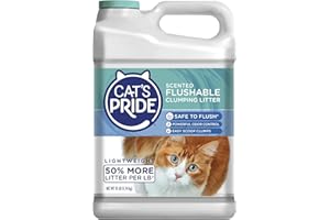 Cat's Pride Lightweight Clumping Litter: Flushable - Powerful Odor Control - Scented, 10 Pounds